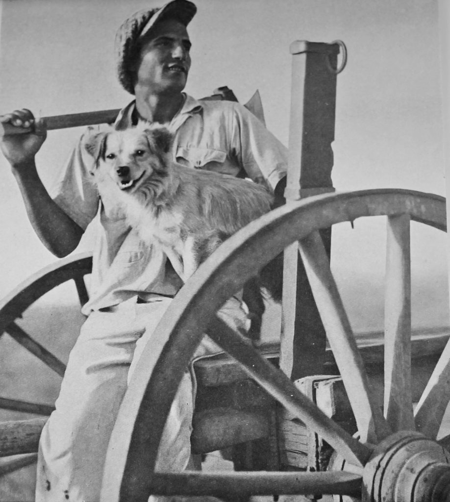 A Yemenite immigrant in Emek Hefer