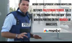 Ayman Mohyeldin Defends Palestinian Terror