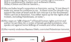 Linda Sarsour: Fake Feminist and BDS Advocate