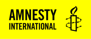 The Peril of Amnesty International: Amplifying Media Polarization and Dividing Public Discourse